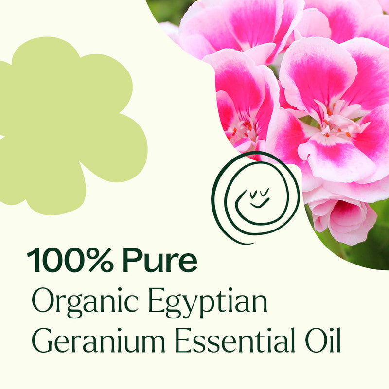 Plant Therapy Organic Egyptian Geranium Essential Oil Essential Oil Seashell 5 mL,10 mL