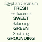 Plant Therapy Organic Egyptian Geranium Essential Oil Essential Oil Seashell 5 mL,10 mL