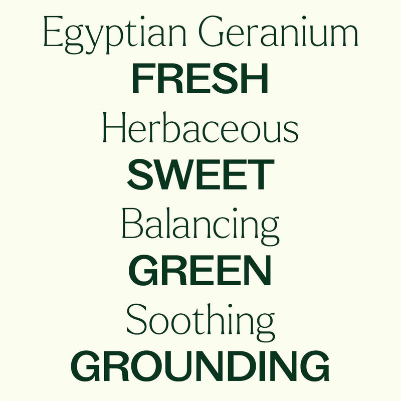 Plant Therapy Organic Egyptian Geranium Essential Oil Essential Oil Seashell 5 mL,10 mL