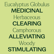 Plant Therapy Organic Eucalyptus Globulus Essential Oil Essential Oil Khaki 10 mL,30 mL,100 mL