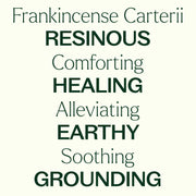 Plant Therapy Organic Frankincense Carterii Essential Oil Essential Oil Floral White 10 mL,30 mL