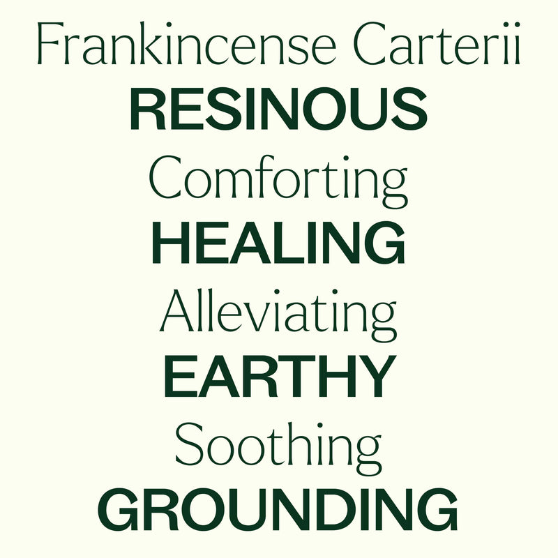 Plant Therapy Organic Frankincense Carterii Essential Oil Essential Oil Floral White 10 mL,30 mL