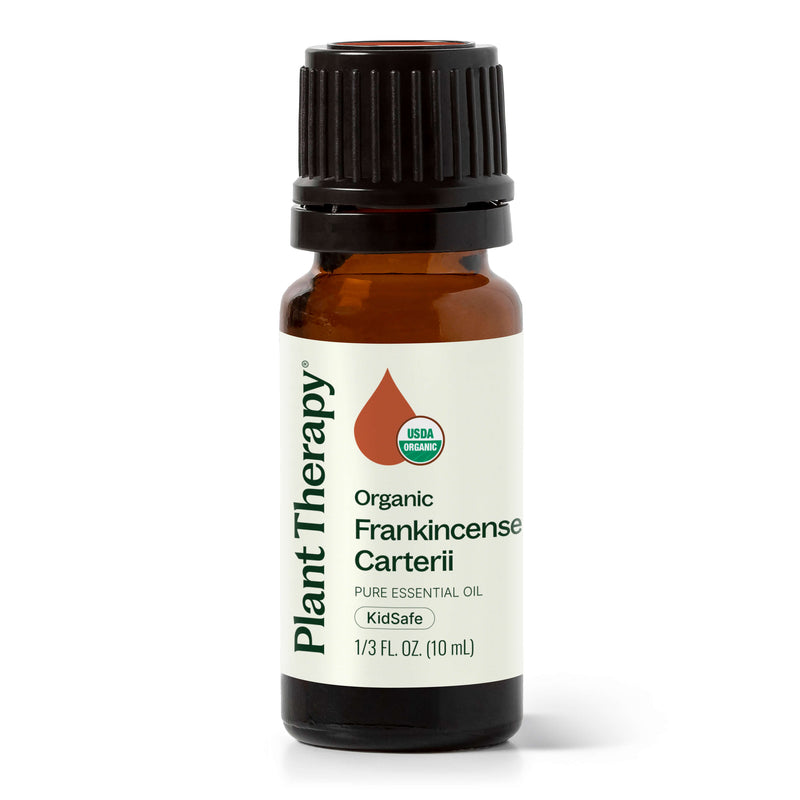 Plant Therapy Organic Frankincense Carterii Essential Oil Essential Oil White Smoke 10 mL