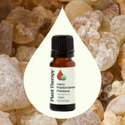 Plant Therapy Organic Frankincense Frereana Essential Oil Essential Oil Seashell 10 mL,30 mL