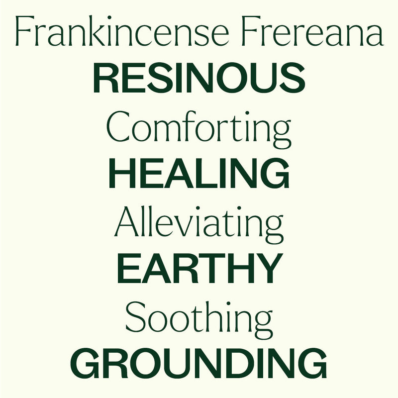 Plant Therapy Organic Frankincense Frereana Essential Oil Essential Oil Seashell 10 mL,30 mL