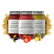 MG Windward Trading LLC Organic Fruit Infused BEST SELLER Sea Moss Gel Bundle Fruit Infused Sea Moss Gel Gray 4 oz. Sample Sizes,8 oz.,16 oz.,32 oz.