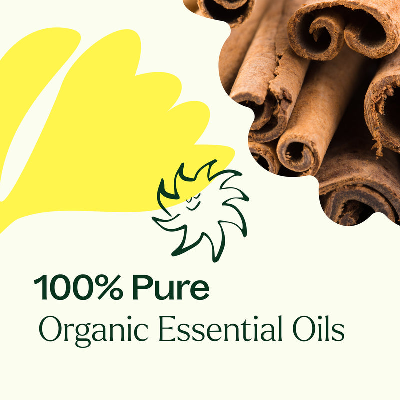Plant Therapy Organic Germ Fighter Essential Oil Essential Oil Seashell 10 mL
