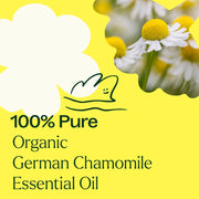 Plant Therapy Organic German Chamomile Essential Oil Essential Oil Light Goldenrod 2.5 mL,5 mL