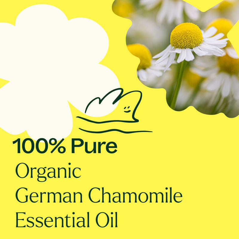 Plant Therapy Organic German Chamomile Essential Oil Essential Oil Light Goldenrod 2.5 mL,5 mL