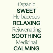Plant Therapy Organic German Chamomile Essential Oil Essential Oil White Smoke 2.5 mL,5 mL