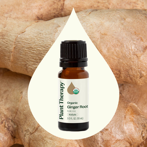 Plant Therapy Organic Ginger Root CO2 Seashell 10 ml