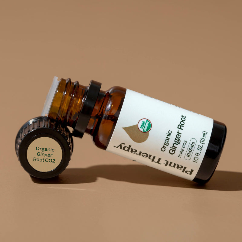 Plant Therapy Organic Ginger Root CO2 Rosy Brown 10 ml