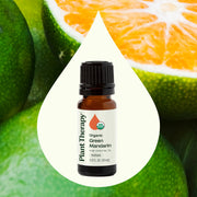 Plant Therapy Organic Green Mandarin Essential Oil Essential Oil Seashell 10 mL