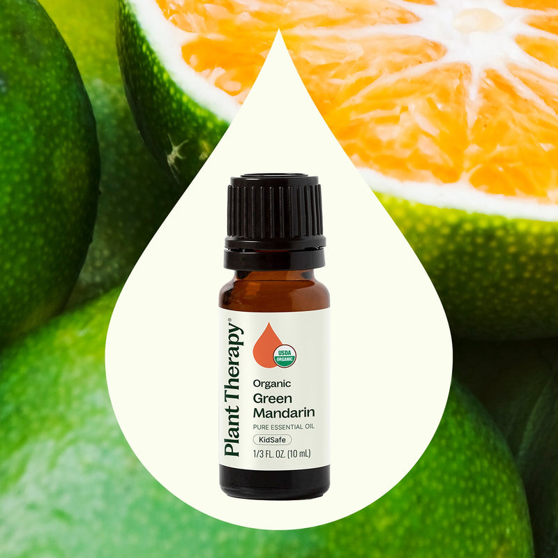 Plant Therapy Organic Green Mandarin Essential Oil Essential Oil Seashell 10 mL