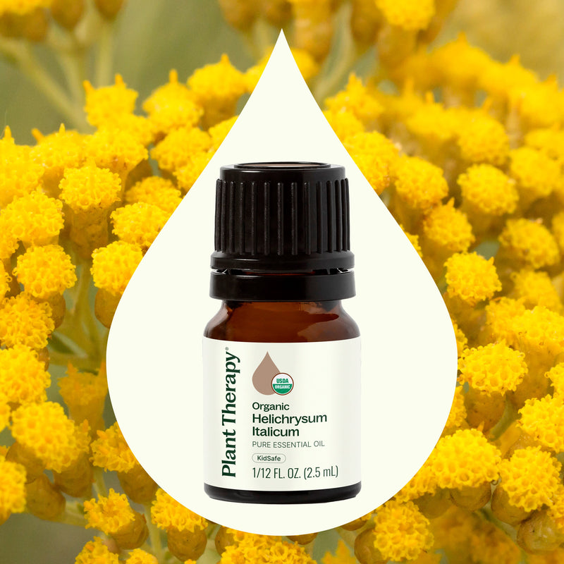 Plant Therapy Organic Helichrysum Italicum Essential Oil Essential Oil Seashell 2.5 mL,5 mL