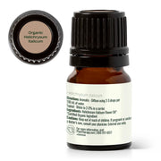 Plant Therapy Organic Helichrysum Italicum Essential Oil Essential Oil White Smoke 2.5 mL,5 mL