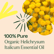 Plant Therapy Organic Helichrysum Italicum Essential Oil Essential Oil Antique White 2.5 mL,5 mL