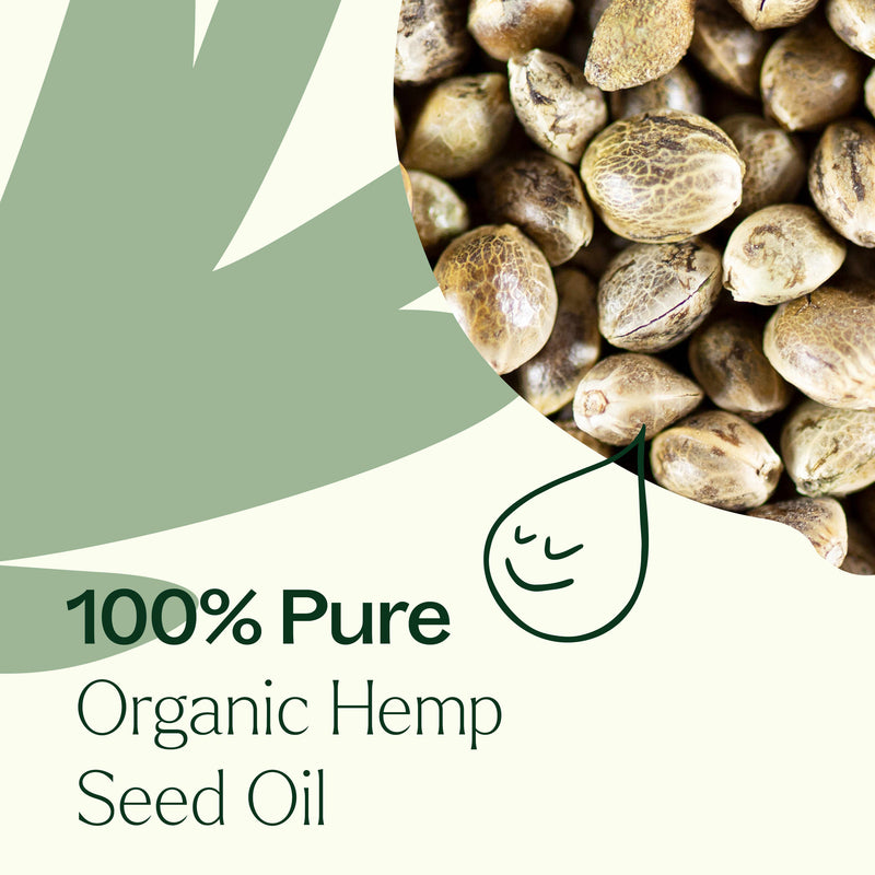 Plant Therapy Organic Hemp Seed Carrier Oil Body Care Seashell 4 oz,16 oz