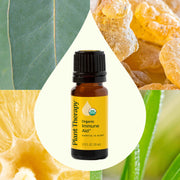 Plant Therapy Organic Immune Aid Essential Oil Blend Essential Oil Seashell 10 mL