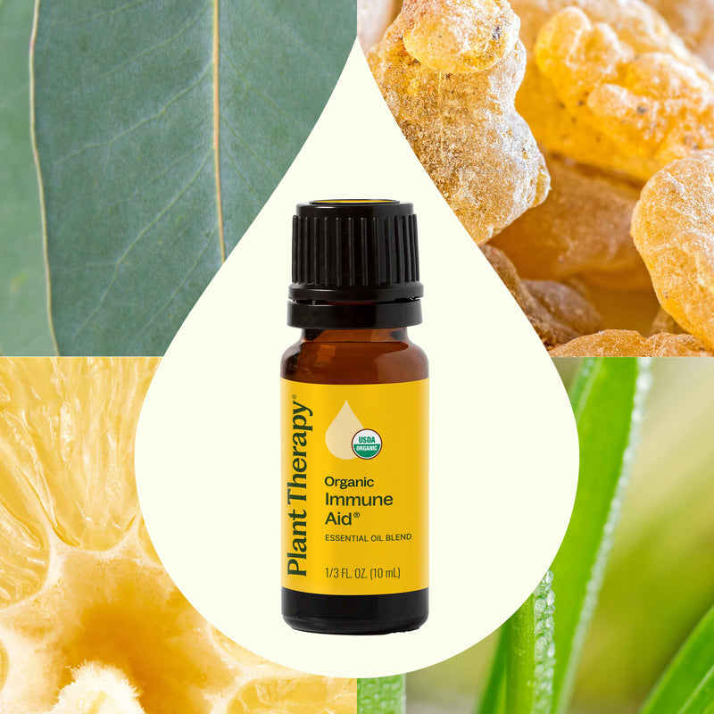 Plant Therapy Organic Immune Aid Essential Oil Blend Essential Oil Seashell 10 mL