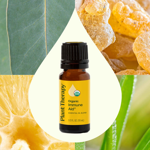 Plant Therapy Organic Immune Aid Essential Oil Blend Essential Oil Seashell 10 mL