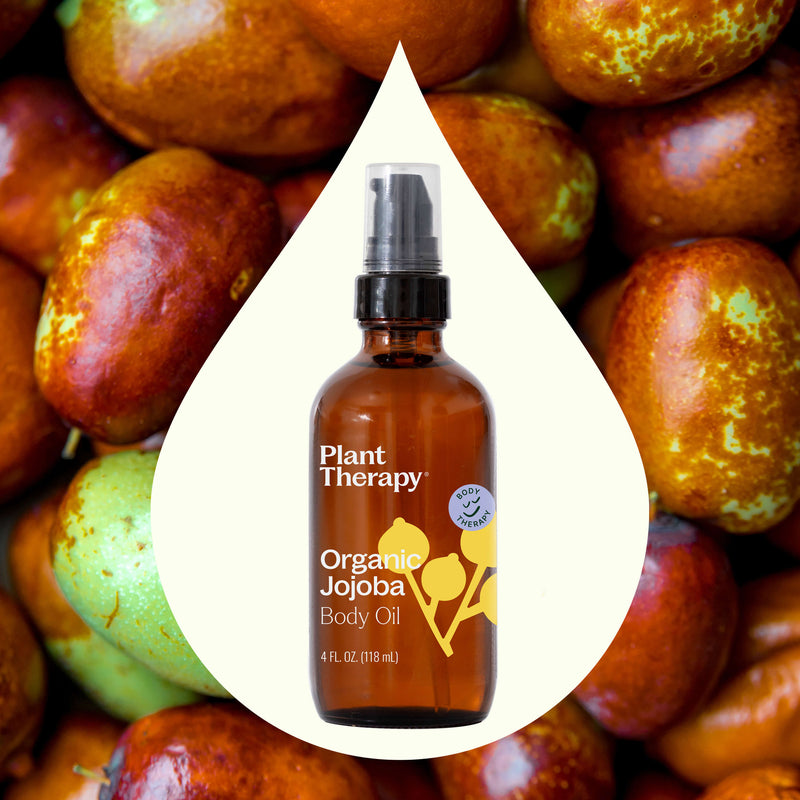 Plant Therapy Organic Jojoba Body Oil 4 oz Body Care Saddle Brown 4 oz
