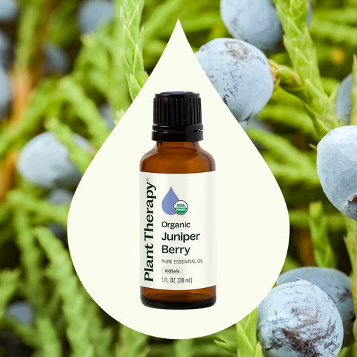 Plant Therapy Organic Juniper Berry Essential Oil Essential Oil Seashell 10 mL
