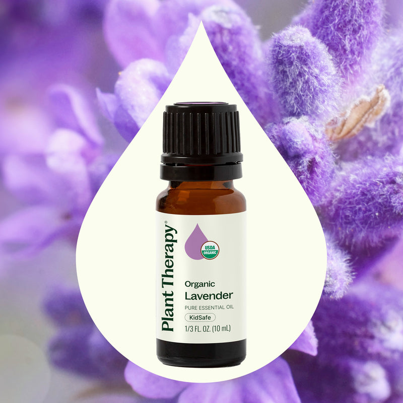 Plant Therapy Organic Lavender Essential Oil Essential Oil Medium Purple 10 mL,30 mL,100 mL