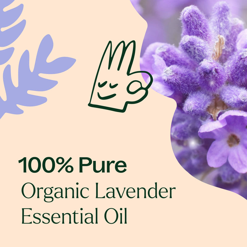 Plant Therapy Organic Lavender Essential Oil Essential Oil Antique White 10 mL,30 mL,100 mL