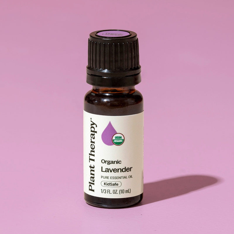 Plant Therapy Organic Lavender Essential Oil Essential Oil Plum 10 mL,30 mL,100 mL