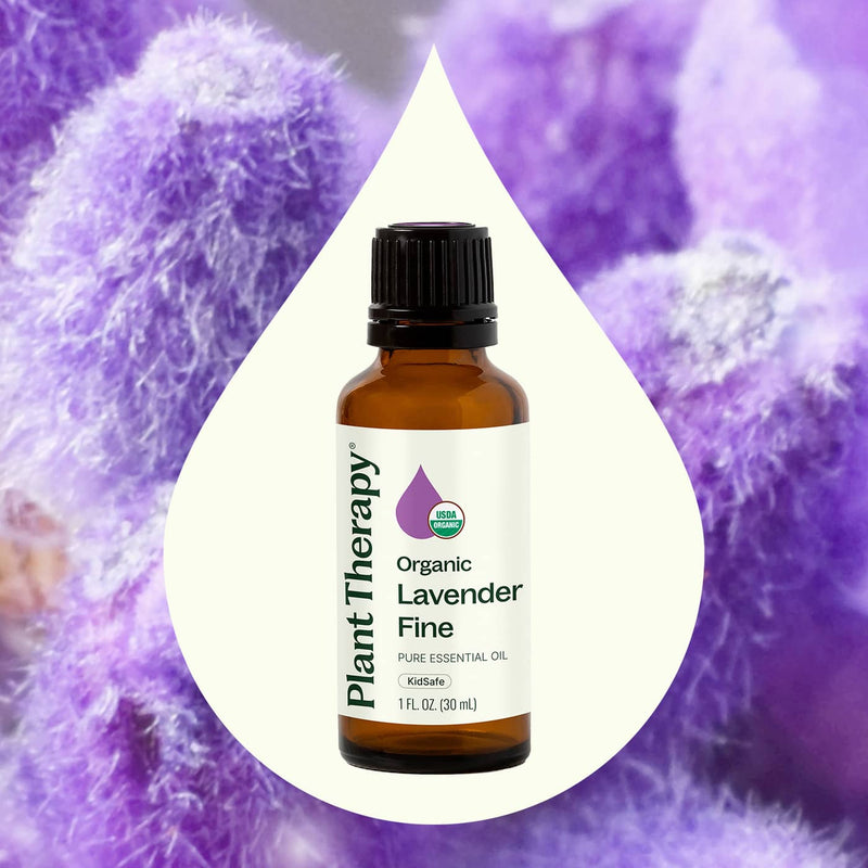 Plant Therapy Organic Lavender Fine Essential Oil Essential Oil Seashell 10 mL,30 mL