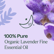 Plant Therapy Organic Lavender Fine Essential Oil Essential Oil Lavender 10 mL,30 mL