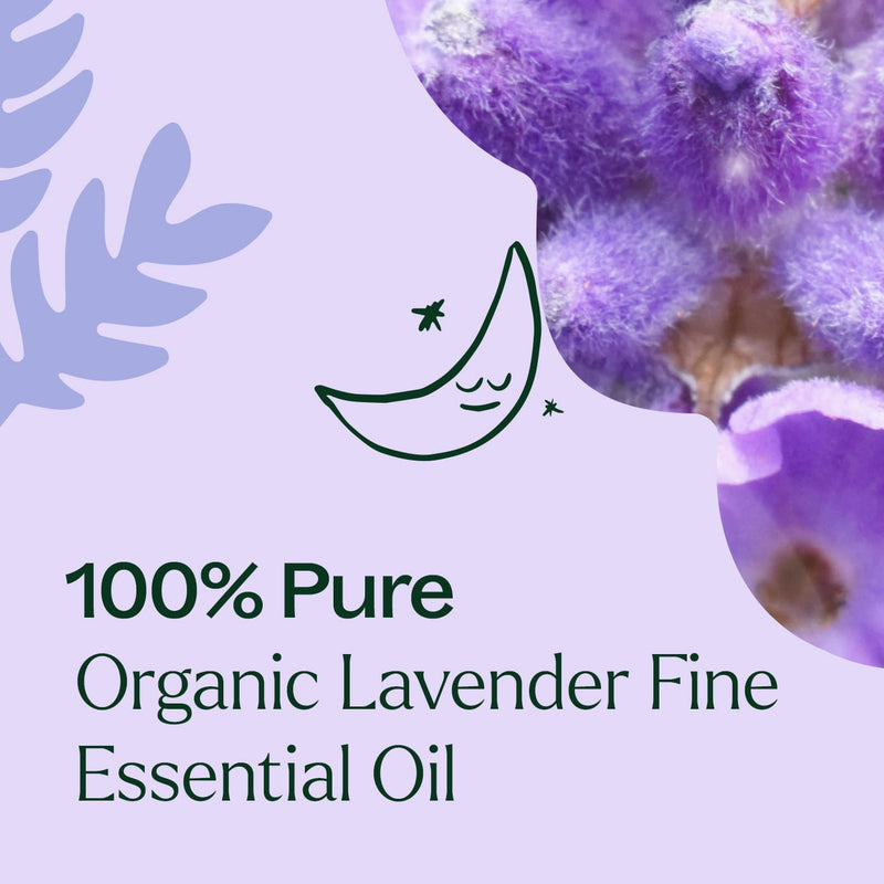 Plant Therapy Organic Lavender Fine Essential Oil Essential Oil Lavender 10 mL,30 mL