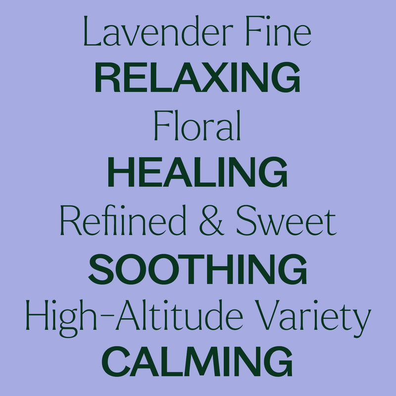 Plant Therapy Organic Lavender Fine Essential Oil Essential Oil Light Steel Blue 10 mL,30 mL