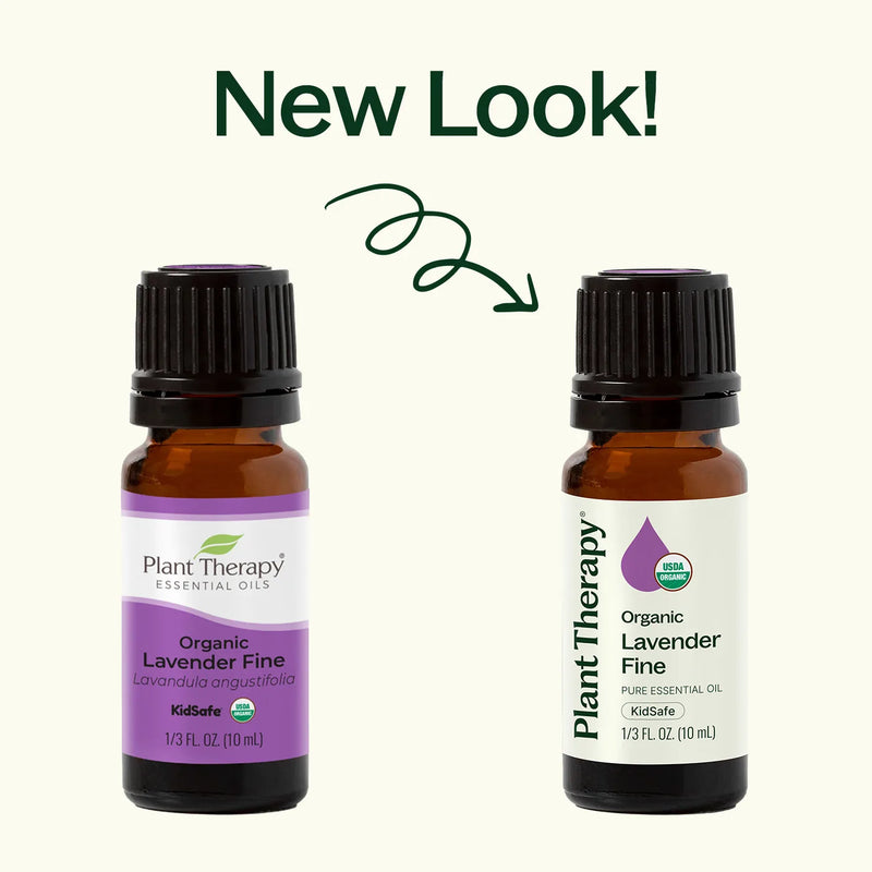 Plant Therapy Organic Lavender Fine Essential Oil Essential Oil Seashell 10 mL,30 mL