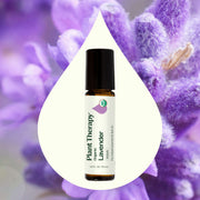 Plant Therapy Organic Lavender Essential Oil Pre-Diluted Roll-On Essential Oil Seashell 10 mL