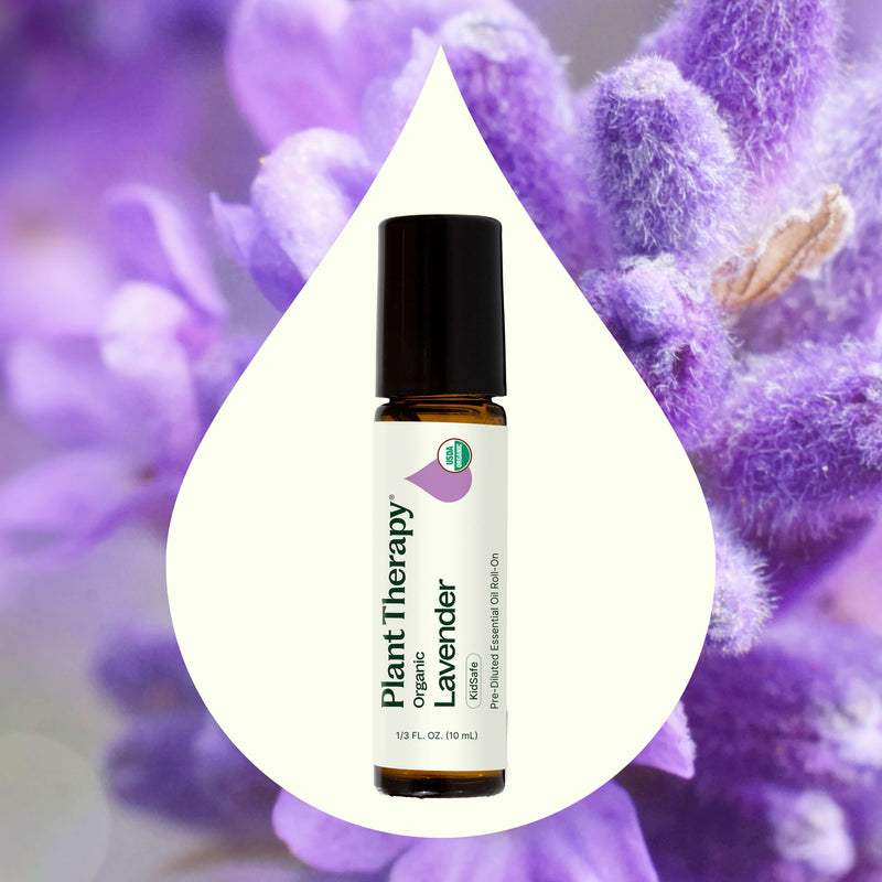 Plant Therapy Organic Lavender Essential Oil Pre-Diluted Roll-On Essential Oil Seashell 10 mL