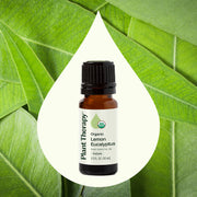 Plant Therapy Organic Lemon Eucalyptus Essential Oil Essential Oil Seashell 10 mL,30 mL