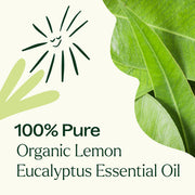 Plant Therapy Organic Lemon Eucalyptus Essential Oil Essential Oil White Smoke 10 mL,30 mL