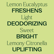Plant Therapy Organic Lemon Eucalyptus Essential Oil Essential Oil Khaki 10 mL,30 mL