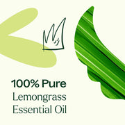 Plant Therapy Organic Lemongrass Essential Oil Essential Oil Seashell 10 mL,30 mL,100 mL