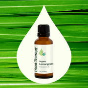 Plant Therapy Organic Lemongrass Essential Oil Essential Oil Seashell 10 mL,30 mL,100 mL