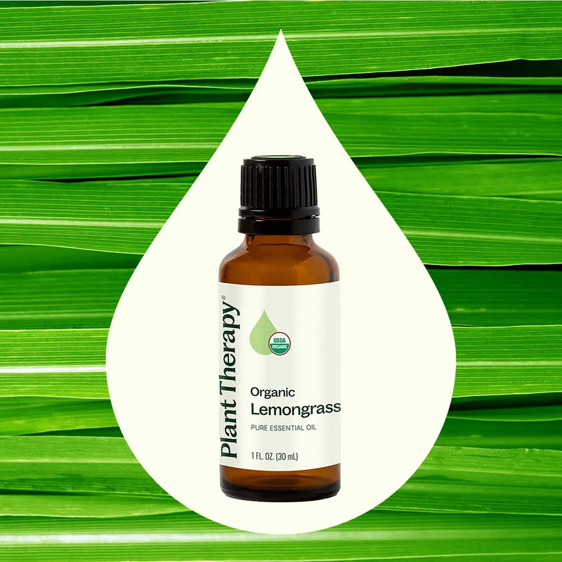 Plant Therapy Organic Lemongrass Essential Oil Essential Oil Seashell 10 mL,30 mL,100 mL