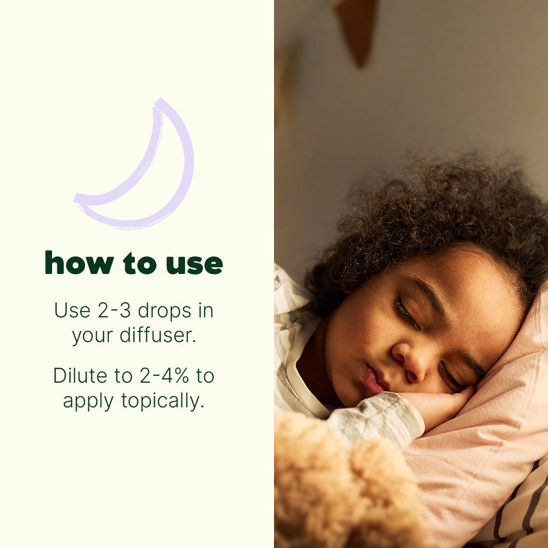 Plant Therapy Organic Nighty Night Essential Oil Essential Oil Seashell 10 mL