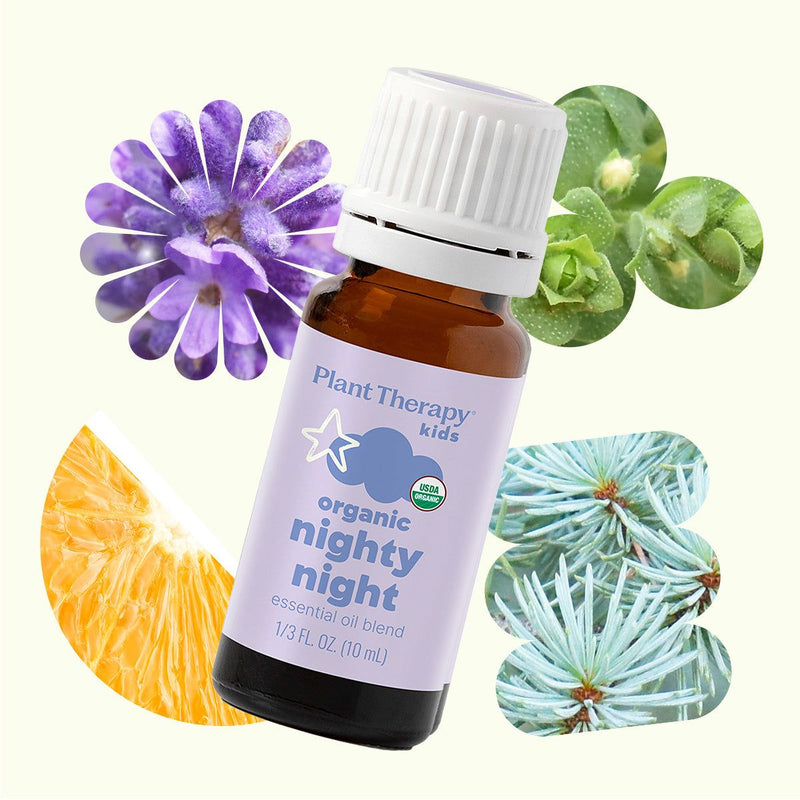 Plant Therapy Organic Nighty Night Essential Oil Essential Oil Seashell 10 mL