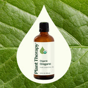 Plant Therapy Organic Oregano Essential Oil Essential Oil Seashell 10 mL,30 mL,100 mL
