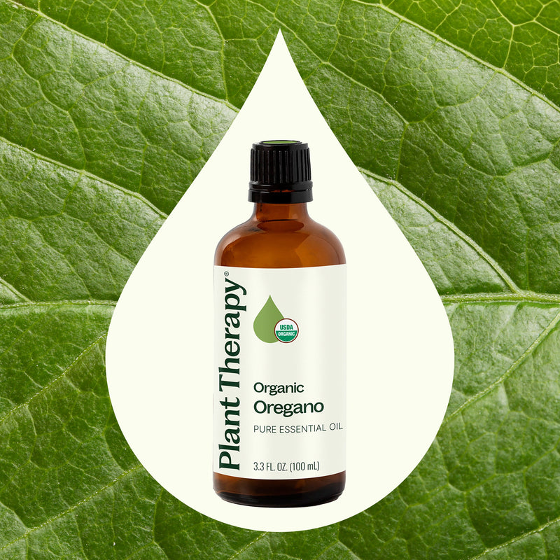 Plant Therapy Organic Oregano Essential Oil Essential Oil Seashell 10 mL,30 mL,100 mL