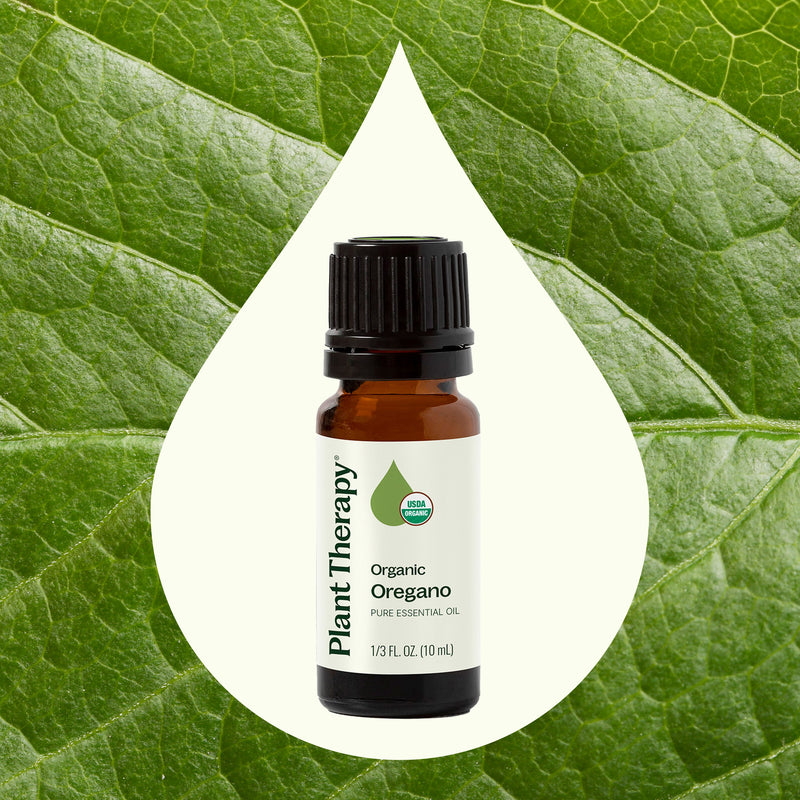 Plant Therapy Organic Oregano Essential Oil Essential Oil Seashell 10 mL,30 mL,100 mL