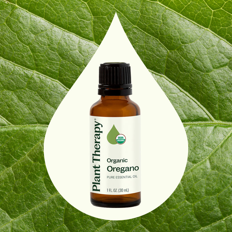 Plant Therapy Organic Oregano Essential Oil Essential Oil Seashell 10 mL,30 mL,100 mL