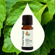 Plant Therapy Organic Patchouli Essential Oil Essential Oil Seashell 10 mL